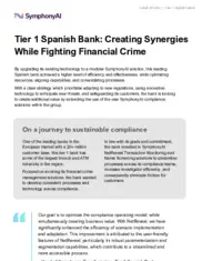 Preview of the Leading Tier 1 Spanish Bank Case Study
