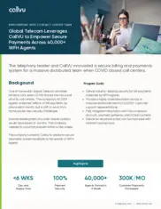 Preview of the World Largest Telecom Provider Case Study