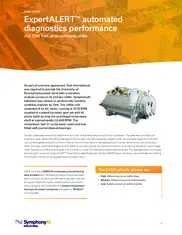 Preview of the York International Agency Case Study