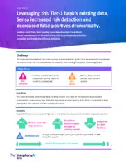 Preview of the Leading Global Bank Case Study