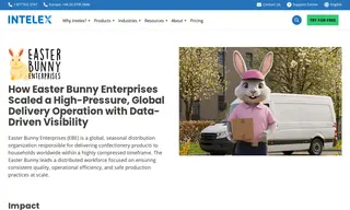 Preview of the Easter Bunny Enterprises Case Study