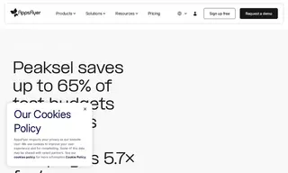 Preview of the Peaksel Case Study