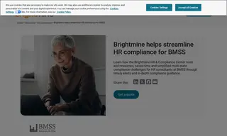 Preview of the BMSS, LLC Case Study