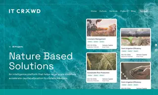 Preview of the Capital for Climate Case Study