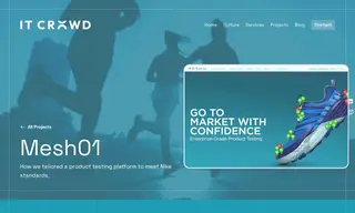 Preview of the Mesh01 Case Study