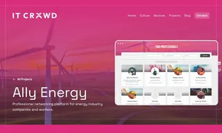 Preview of the Ally Energy Case Study