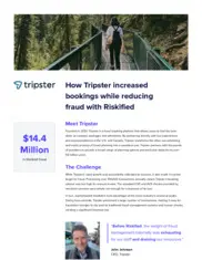 Preview of the Tripster Case Study