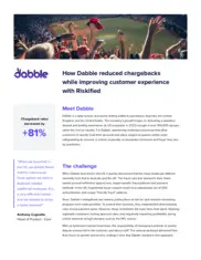 Preview of the Dabble Case Study