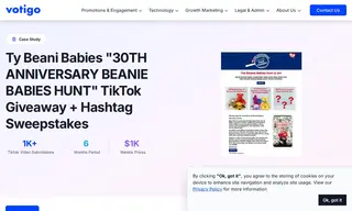 Preview of the Beanie Babies Case Study