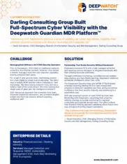 Preview of the Darling Consulting Group Case Study