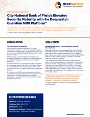 Preview of the City National Bank of Florida Case Study