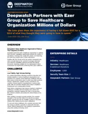 Preview of the Ezer Group Case Study