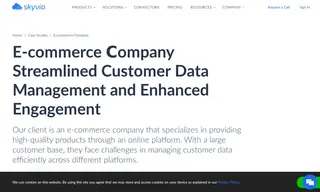 Preview of the Leading E-commerce Сompany Case Study