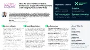 Preview of the Wizz Air Case Study