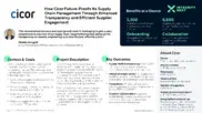 Preview of the Cicor Case Study