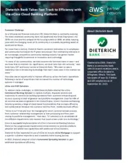Preview of the Dieterich Bank Case Study