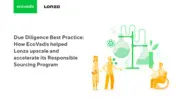 Preview of the Lonza Case Study
