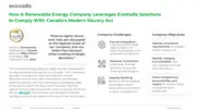 Preview of the Large Renewable Energy Company Case Study