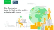 Preview of the Bliss Corporation Case Study