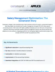 Preview of the Ceramaret Case Study
