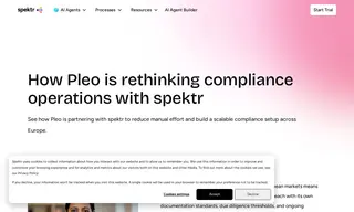 Preview of the Pleo Case Study