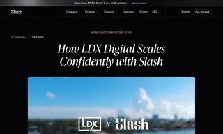 Preview of the LDX Digital Case Study