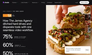 Preview of the The James Agency Case Study