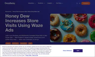 Preview of the Honey Dew Case Study