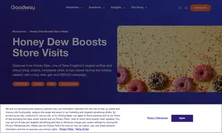 Preview of the Honey Dew Case Study