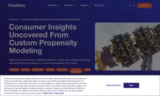 Preview of the national amusement park brand Case Study