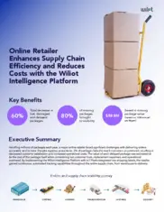 Preview of the Major Online Retailer Case Study