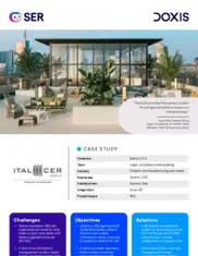 Preview of the Italcer Case Study