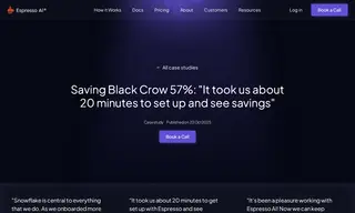 Preview of the Black Crow AI Case Study