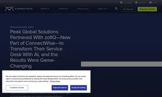 Preview of the Peak Global Solutions Case Study