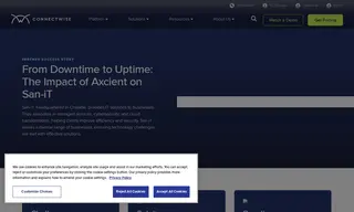 Preview of the San-iT Limited Case Study