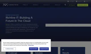 Preview of the Richline IT Case Study