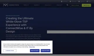 Preview of the ACE IT Solutions Case Study