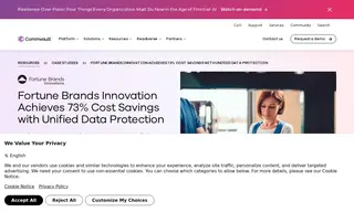 Preview of the Fortune Brands Innovation Case Study