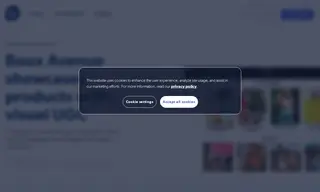 Preview of the Boux Avenue Case Study