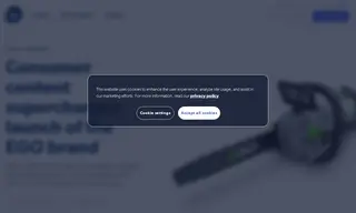 Preview of the EGO Brand Case Study