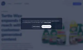 Preview of the Turtle Wax Case Study