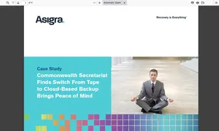 Preview of the Commonwealth Secretariat Case Study