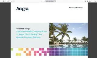 Preview of the Cyprotels Hotels and Resorts Case Study