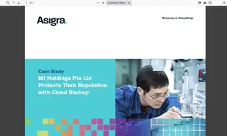 Preview of the MI Holdings Pte Ltd Case Study