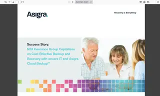 Preview of the NBJ Insurance Group Case Study