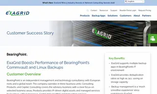 Preview of the BearingPoint Case Study