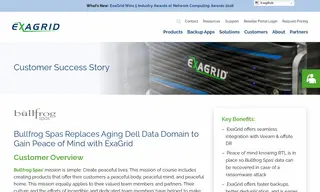 Preview of the Bullfrog Spas Case Study