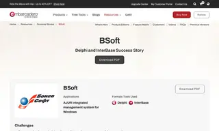 Preview of the BSoft Case Study