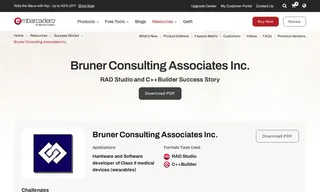 Preview of the Bruner Consulting Associates Inc. Case Study