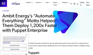Preview of the Ambit Energy Case Study